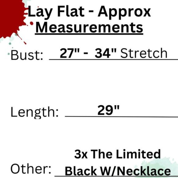 The Limited Top + Necklace Set NWT 🤍 Retail $80- - Picture 12 of 13